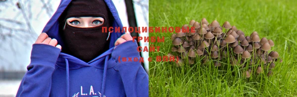 тгк Армянск