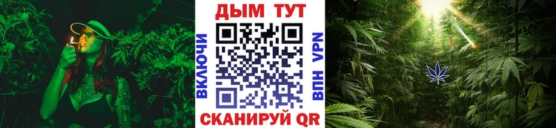 Бошки Шишки семена  купить   Ивантеевка 